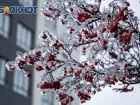 Мороз до -31 градуса придет в Ростовскую область в феврале
