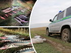 В Ростовской области поймали браконьеров с уловом севрюги на 800 тысяч рублей