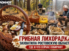Грибная охота по-ростовски: заядлый грибник рассказал о любителях тихой охоты на Дону