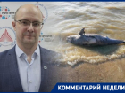 Ученый рассказал о причинах гибели рыбы в Ростовской области