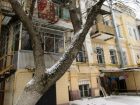 Деревья решили срубить в центре Ростова ради строительства элитного дома