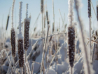  Мороз до -6 градусов ожидается в Ростове 2 декабря