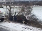 «Сброшенный» скользкой трассой в кювет внедорожник разбился о дерево в Ростовской области