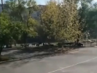 Ростовчанка пожаловалась на стаю агрессивных собак возле школы