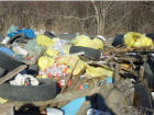 Экологи нашли устроившего свалку медицинских отходов возле Ростовского моря 