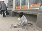 Жители Ростова осудили хозяина собаки, которую тот заставил «работать» в центре города