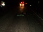 Ростовский автомобилист насмерть сбил бегущего по трассе мужчину в Воронежской области
