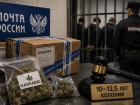 Контрабанда каннабиса через «Почту России»: фигуранты дела получили от 10 до 12,5 лет колонии