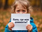 Судебные приставы назвали районы Ростова с наибольшим числом алиментщиков