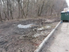Свалку у Можайской рощи в Ростове ликвидировали после жалоб жителей в «Блокнот Ростов»
