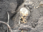 В одном из парков Ростовской области нашли кости и черепа