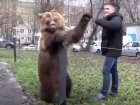 Хозяин знаменитой медведицы Нюры рассказал, почему выгуливал ее без намордника в Таганроге