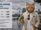 Дождь может накрыть Ростов в дневное время