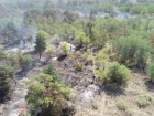 Спасатели почти сутки тушили крупный пожар в Ростовской области