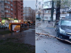 Деревья падали на машины, повалены остановки: показываем последствия ливня и ураганного ветра в Ростове