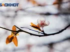 В Ростове введен режим повышенной готовности из-за ухудшения погоды