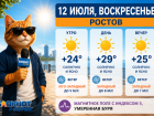 Жару до +29 прогнозируют синоптики в Ростове 12 июля