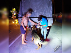 В Ростове собаку, привязанную к грузовику, протащили по дороге 