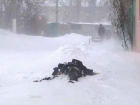Мужчина потерял сознание и насмерть замерз на заснеженной улице в Ростовской области