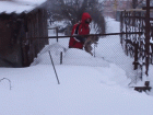 Ростовчанин спас собаку, просидевшую в засыпанной снегом будке несколько суток 