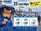 Дождливый вторник и до +24 будет в Ростове 22 сентября