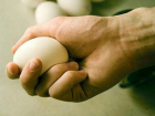 Неопознанными яйцами и печенью торговали «Пятерочки» в Ростовской области