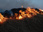 В Ростовской области тушат крупный ландшафтный пожар