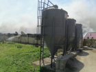 На свиноферме в Ростовской области сгорели 11 тысяч поросят