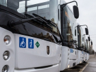 В Ростове после дикого штурма автобусов болельщиками на тестовом матче появятся 102 новых шаттла