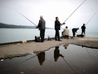 Ростовские власти напомнили, где запрещена рыбалка