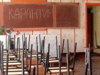 Власти Ростовской области сознательно не закрывают на карантин все школы и детские сады