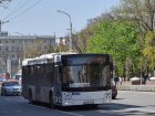 На Масленицу в Ростове пустят дополнительные автобусы на левый берег Дона