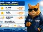 В Ростове столбики термометров поднимутся до +29 градусов