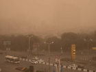 Власти нашли новый способ борьбы с пылевыми бурями в Ростовской области