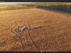 Огромный рисунок часов появился на кукурузном поле у Зернограда