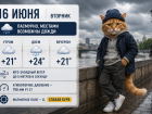 В Ростове 16 июня ожидается пасмурная погода и слабая магнитная буря