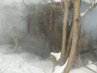 За новогодние каникулы в Ростовской области 10 человек погибло в пожарах
