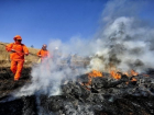 Восемь часов потребовалось спасателям, чтобы потушить лесной пожар в Ростовской области