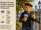 Погода в Ростове 29 июля: утренний дождь и солнечная погода днем