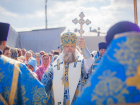 Ростовский митрополит Меркурий раскритиковал желающих делать ЭКО