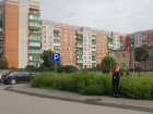 В Ростовской области нарушители заплатят 5,5 млн рублей за нескошенный сорняк