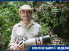 Зоолог рассказал о том, кого кусают комары и возможна ли в Ростовской области лихорадка Денге