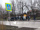 Жители Суворовского остались без автобусов из-за следственных проверок
