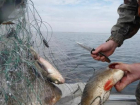 В Ростовской области рыбинспектор помогал браконьерам
