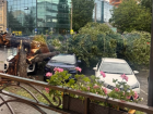 Гигантское дерево раздавило три автомобиля и оборвало провода в центре Ростова