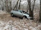 Супружеская пара серьезно пострадала в одиночном ДТП с легковушкой и деревом на трассе под Ростовом