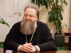 Ростовский митрополит Меркурий назвал юмор опасным оружием