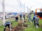 В Ростовской области прошел субботник на МЭОКе