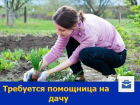 Добросовестная помощница по хозяйству требуется интеллигентной семье