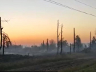 Крупный лесной пожар в Ростовской области потушили на площади в 54 га